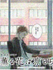 编辑精选 综艺推荐