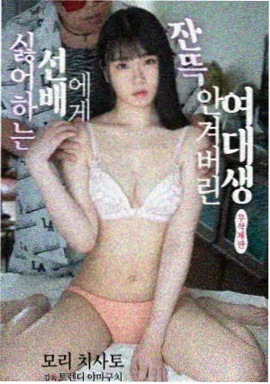 长风渡口 年代剧集免费在线观看